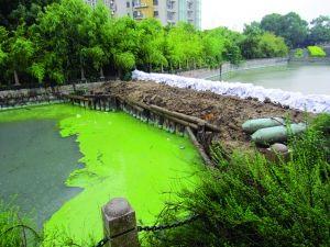 无锡一景观河上筑坝成断头河 河水臭不可闻