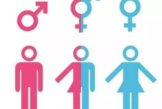 美媒:跨性别者被解雇 地方法院认定非法但无歧视
