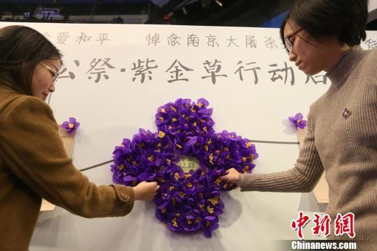 国家公祭紫金草行动再启航 可通过网络悼念遇难同胞