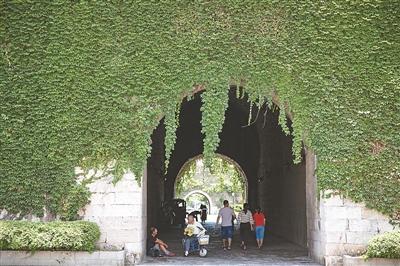 南京石城门瓮城上长满爬山虎 犹如绿色城堡