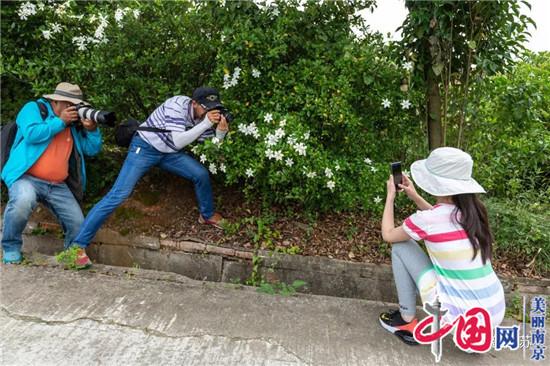 江苏摄影大师镜头下的街拍趣图 看看有没有你喜欢的？