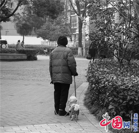 江苏摄影大师镜头下的街拍趣图 看看有没有你喜欢的？