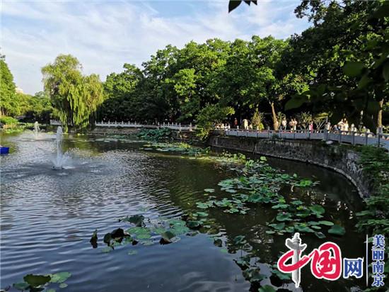 莫愁湖公园重修后今开放 数万南京市民冒高温“赶集”