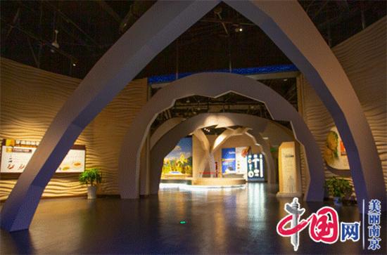 图说美丽新南京：走进南京直立人化石遗址公园