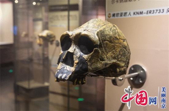 图说美丽新南京：走进南京直立人化石遗址公园