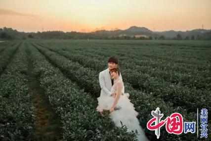 “中国张渚第四届梁祝•爱情文化节”延期至10月19日举行
