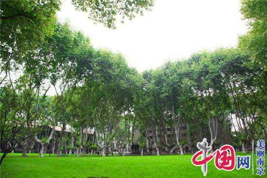 图说美丽新南京：南京最美校园东南大学