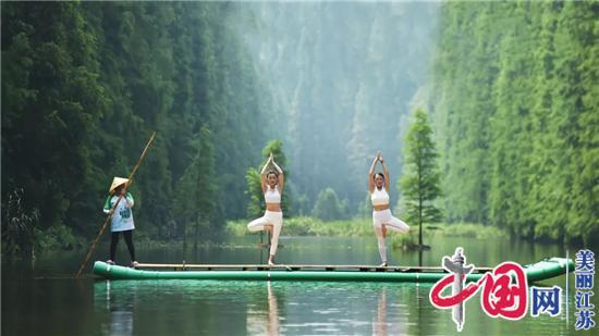 中国网带你看金湖之四：文化搭台经贸唱戏 透过“荷文化”读懂“金湖厚度”