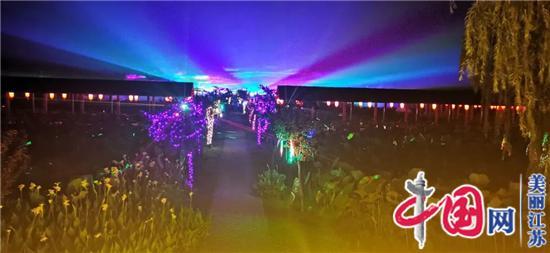 首届3D光影北极光之夜大型灯展“点亮”金湖荷花节