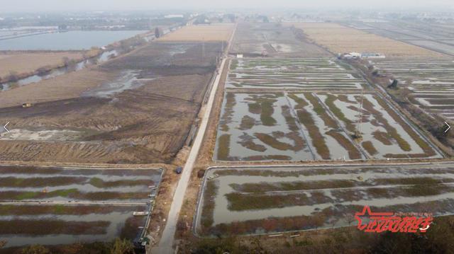 400余亩农田遭“开膛破肚”被承包户挖成鱼塘 宜兴市自规局：正在整改