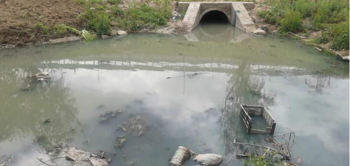 生态环境部：江苏淮安部分区县污水收集处理不到位 水环境问题突出